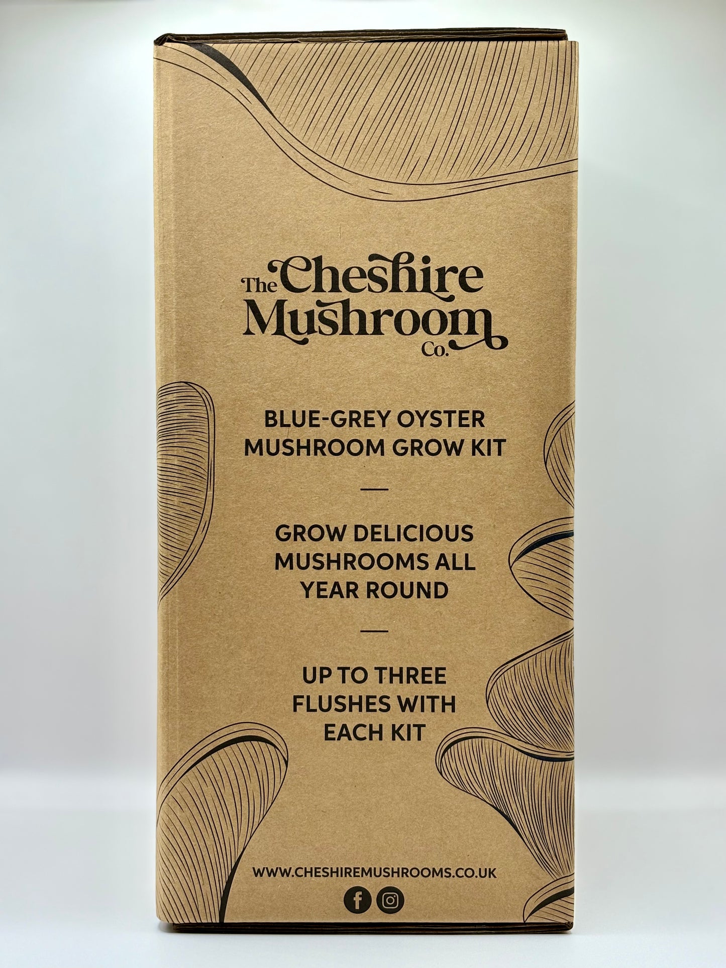 Side view of The Cheshire Mushroom Co oyster mushroom grow-at-home kit box. The company logo sits at the top. Below, it says: Blue-Grey Oyster Mushroom Grow Kit, Grow Delicious Mushrooms All Year Round, Up To Three Flushes With Each Kit.