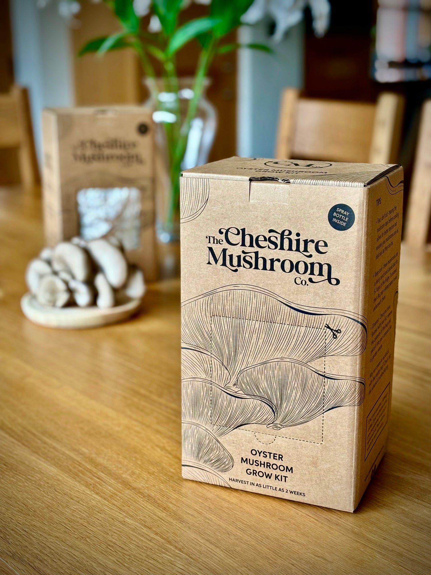 Oyster mushroom grow-at-home kit box by The Cheshire Mushroom Co sits on a wooden table. There is a bowl of blue-grey oyster mushrooms in the background.