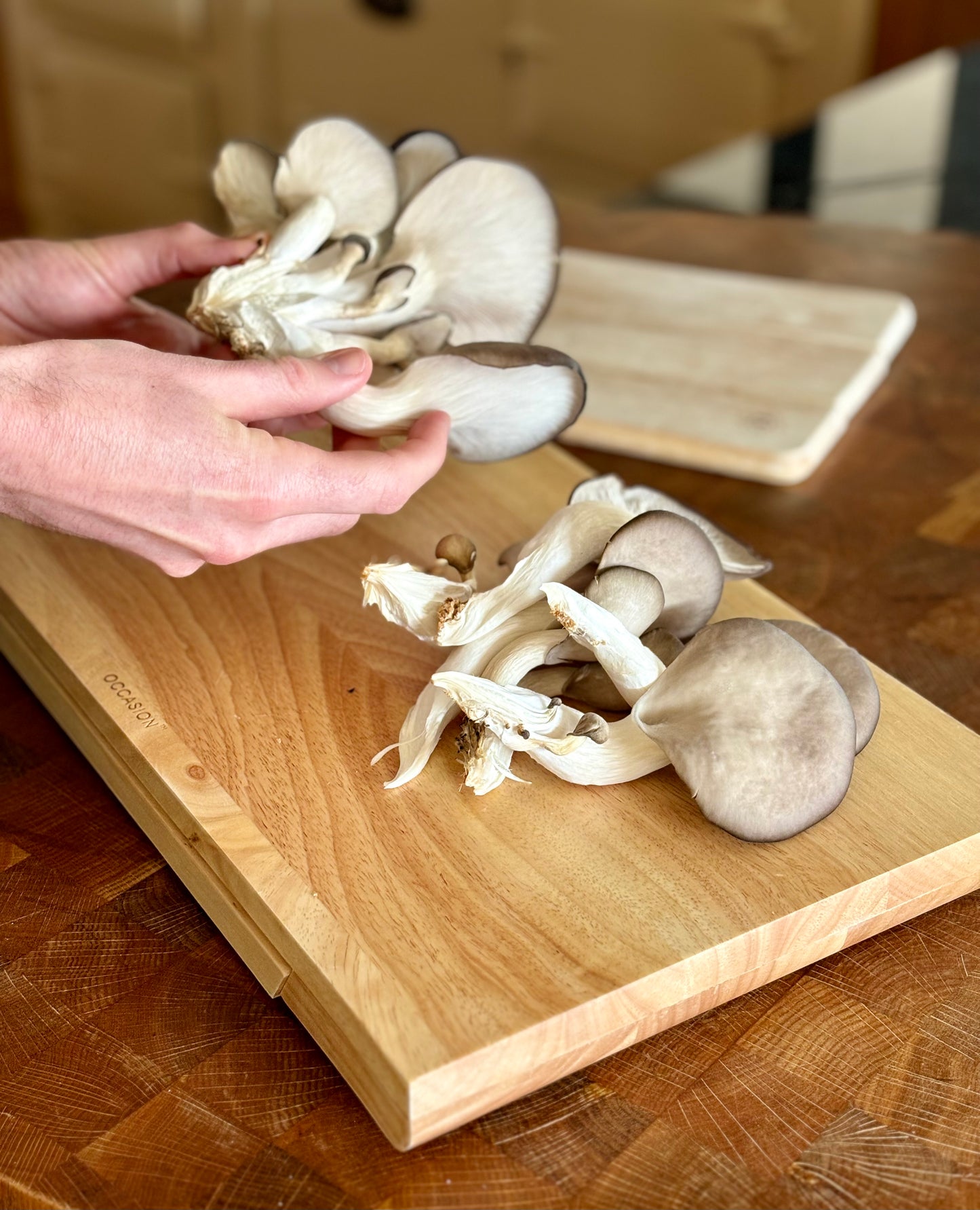 A pair of hands rip blue-grey oyster mushrooms off from their cluster. Several oyster mushrooms sit on a wooden chopping board ready to be cooked. A cream-coloured ceramic oven is visible in the background.