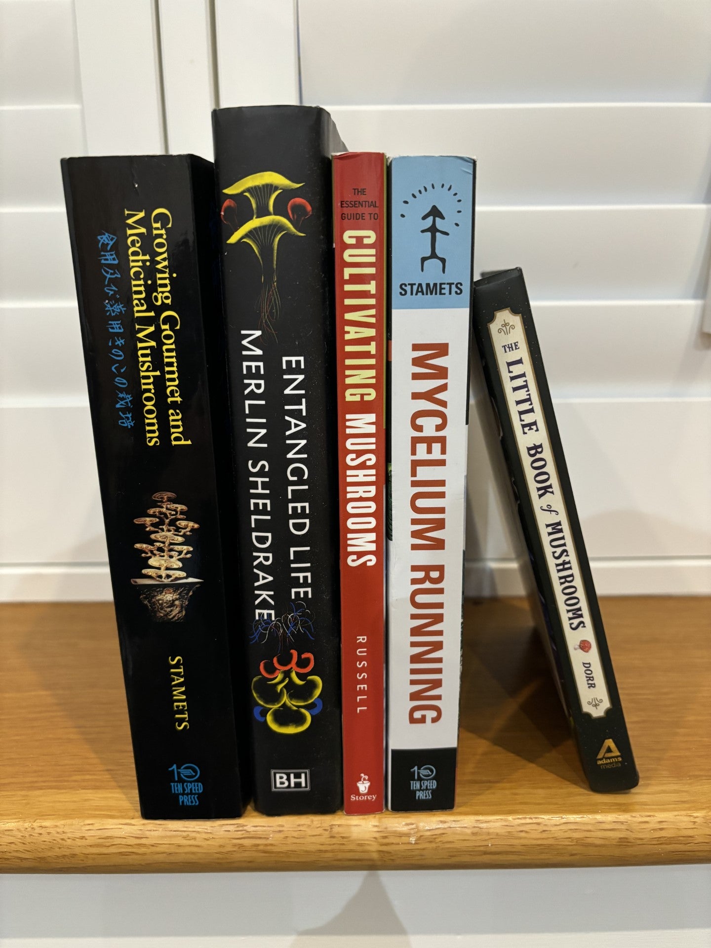 Book spines standing vertically on a wooden shelf. Titles from left to right are: Growing Gourmet and Medicinal Mushrooms by Paul Stamets, Entangled Life by Merlín Sheldrake, Cultivating Mushrooms by Stephen Russell, Mycelium Running by Paul Stamets, and The Little Book of Mushrooms by Alex Dorr with illustrations by Sara Richard.