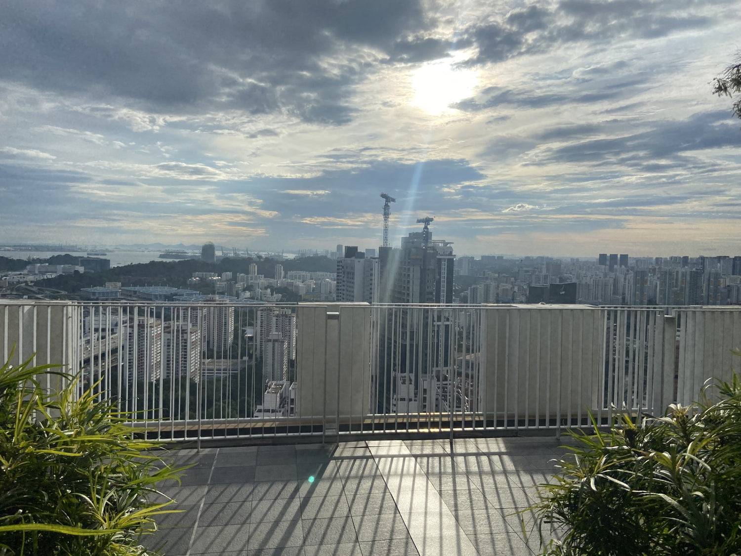 Sunset over a Singaporean neighbourhood, taken from a balcony up high. There are green plants in the foreground, pink and purple hues of the horizon in the middle ground, and mottled clouds surrounding the tops of skyscrapers in the background.